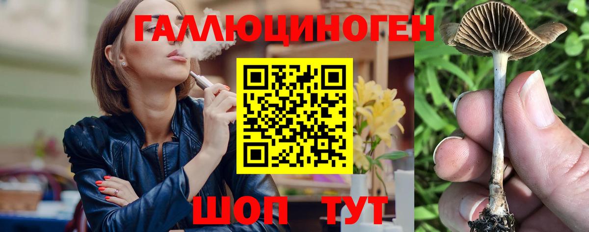 Старая Купавна  Псилоцибиновые грибы Psilocybe  Вход с VPN 
